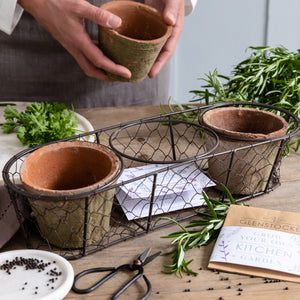 Grow Your Own Kitchen Herbs Gift Set with Terracotta Pots